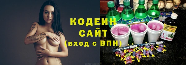 сатива Бородино