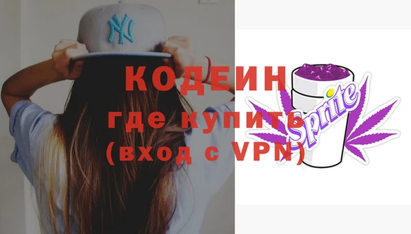 сатива Бородино