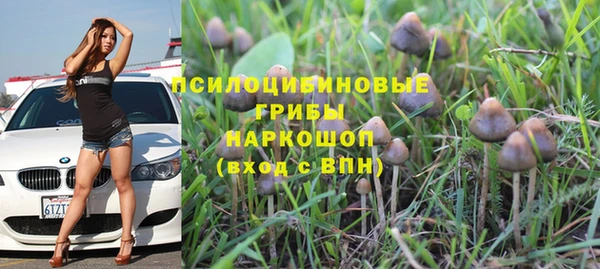 соль ск Богданович