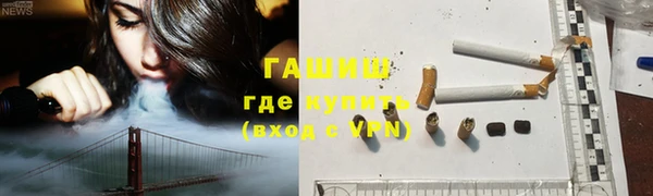 сатива Бородино