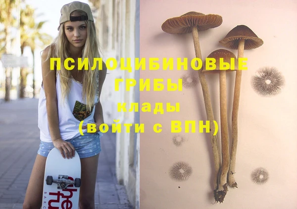 круглые Бронницы