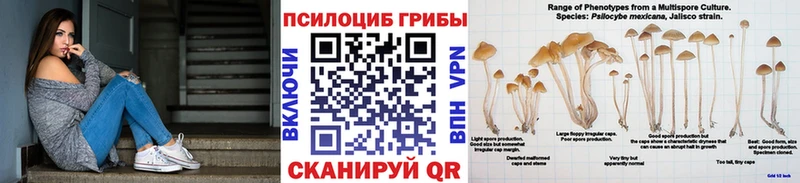 наркошоп  Горняк  Псилоцибиновые грибы Cubensis 