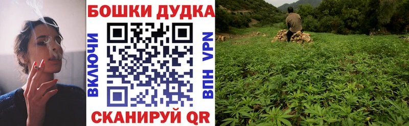 Бошки марихуана OG Kush  Горняк 